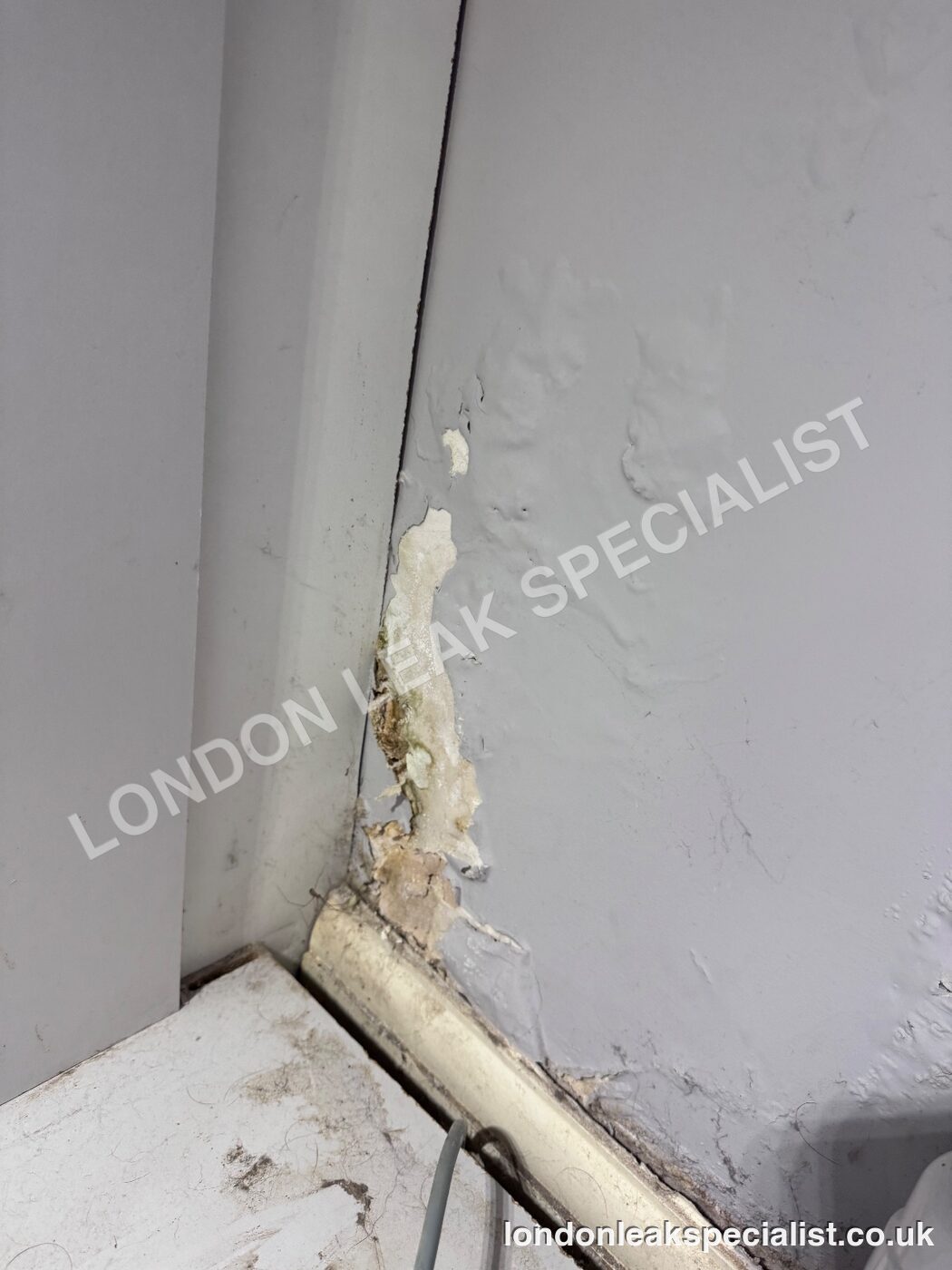 Flaking paint and salt staining along a grey kitchen wall where it meets the skirting board